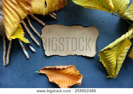 A Small Piece Of Yellowed Paper With Charred Black Edges Surrounded By Yellow Autumn Leaves, A Copy 