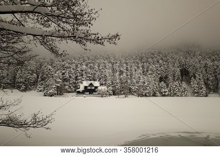 Bolu Golcuk National Park, Snowy Winter Day. Turkey