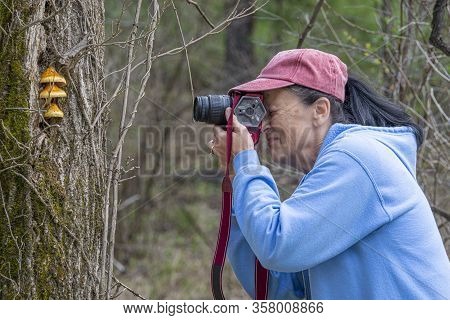 Horizontal Sideview Shot Of A Mature Female Photographyer Photographing Some Unusual Mushrooms Growi