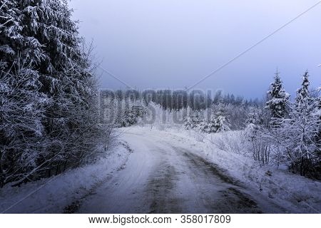 Frozen Forest In Czech Republic