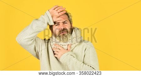 Immune Response. Bearded Man Sick. Warm Scarf Around Neck. Cold Flu Fever Concept. Body Temperature.