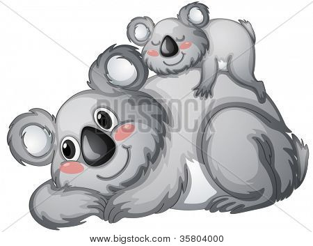 illustration av en koala Björn på en vit backgroundbackground