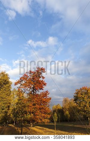Warm Weather In The Park In The Autumn Season, Real Autumn In The Daytime