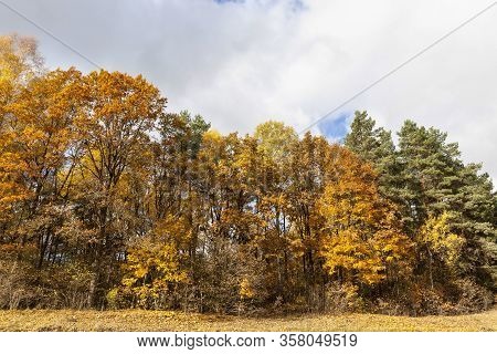 Warm Weather In The Park In The Autumn Season, Real Autumn In The Daytime
