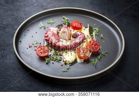 Traditional Italian polpo alla griglia su crema di patate with barbecued octopus, potato puree cream and tomatoes as closeup on a modern design plate 