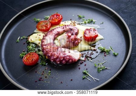 Traditional Italian polpo alla griglia su crema di patate with barbecued octopus, potato puree cream and tomatoes as closeup on a modern design plate 