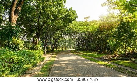 Grey Block Concrete Of Jogging Track In Public Park Under Shading Greenery Leaf Trees, Shrub And Bus