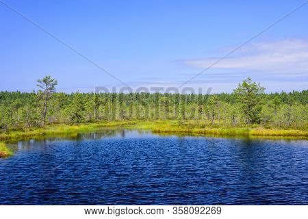 Viru Bog (viru Raba) In Lahemaa National Park, A Popular Natural Attraction In Estonia, A Tourist Ec