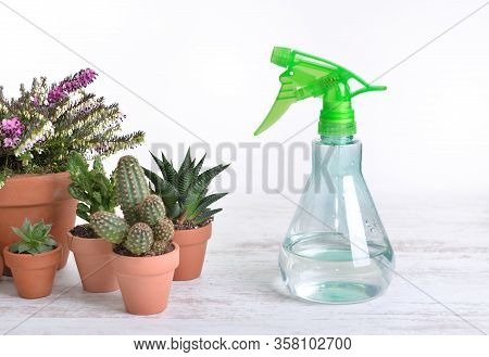 Cactus And Other Houseplant Potted With A Spayer Attanged On A White Table