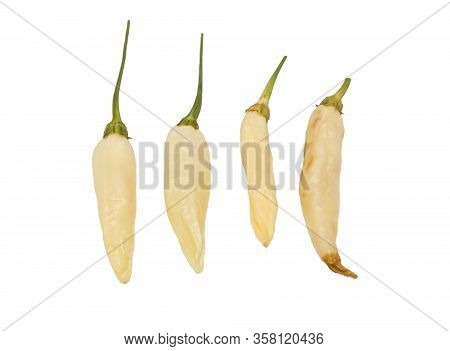 Сhili Pepper Yellow Isolated. Ripe Chili Pepper Yellow Clipping Path. Сhili Pepper On White.
