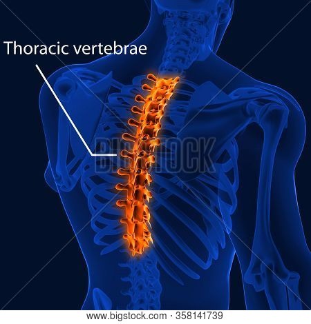 Joint Pain Can Be Caused By Injury Affecting Any Of The Ligaments, Bursae, Or Tendons Surrounding Th