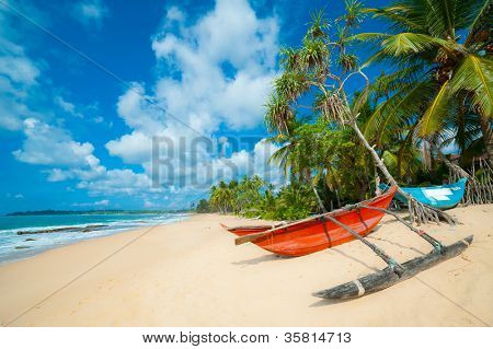 ริมชายหาดขาวละเอียดกับปาล์มและเรือประมงในประเทศศรีลังกา