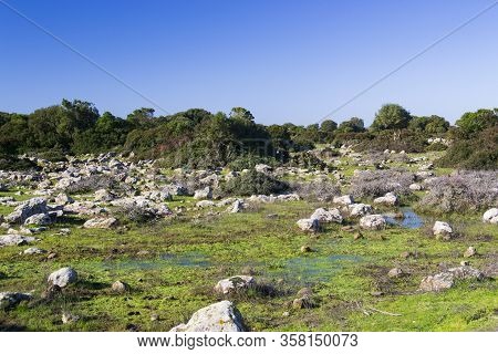 View Of The Panorama Of Setzu Giara