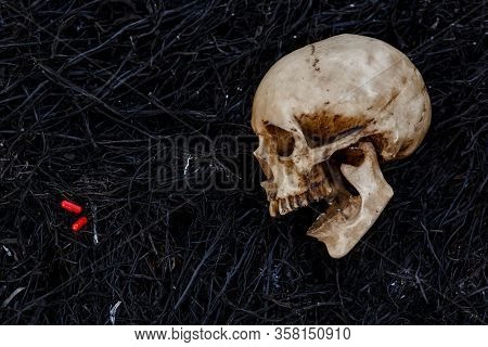 A Human Skull On A Black Background Of Burnt Grass With Red Capsules Of Medical Drugs. A Symbol Of H