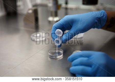 The Process Of Artificial Insemination In Ivf Clinic. Hands Doctor In Blue Rubber Gloves Produce Che