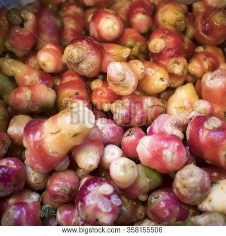 Oca Root For Sale At The Farmer Market