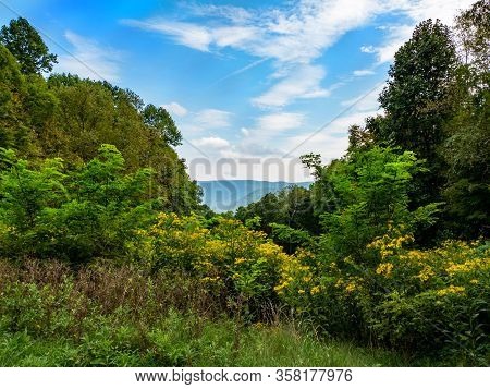 Beautiful Scenic Mountain Vista In Ohiopyle, Pa Nestled In The Laurel Highlands With Blue Cloud Fill