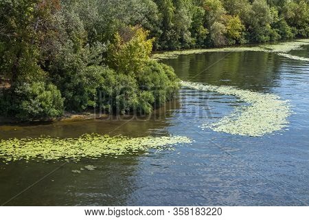 Algae Bloom On The River. Water Pollution Of Rivers And Lakes By Harmful Algal Blooms.