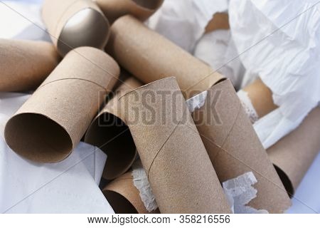 A Close Up Image Of Several Empty Toilet Tissue Rolls.