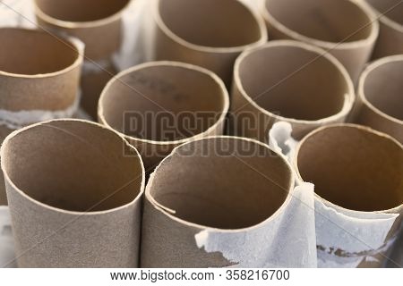 A Close Up Image Of Several Empty Toilet Tissue Rolls.