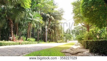 Garden Pathway In Green Tree Park Gardan
