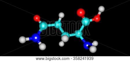 Glutamine Or Gln Is An Amino Acid That Is Used In The Biosynthesis Of Proteins. 3d Illustration