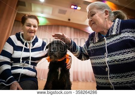 Yekaterinburg, Russia - February 18, 2020: Older People Communicate With Trained Dogs After A Circus