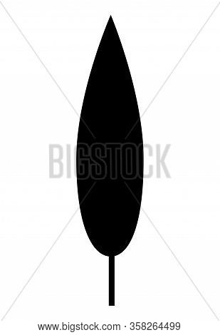 Leaf Silhouette Vector. Black Shape With Lanceolate Leaf Shape.