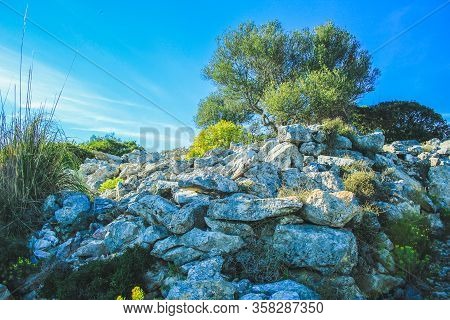 Rocky Hill At Parc Natural De La Peninsula De Llevant On The Island Of Mallorca, Spain