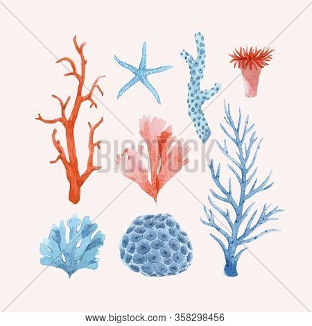 Beautiful Vector Set With Underwater Watercolor Sea Life Stock Illustrations.
