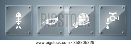 Set Water Tap, Human Hands Holding Earth Globe, Leaf Bio Symbol And Fish Skeleton. Square Glass Pane