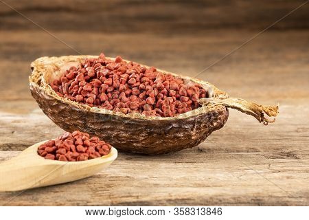 Bixa Orellana - Organic Achiote Seeds. Text Space