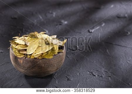 Erythroxylum Coca - Dried Coca Leaves. Text Space