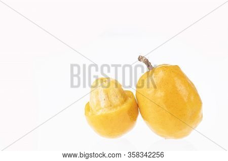 Spondias Purpurea - Plum, Jobo, Xocote, Plum Of Huesito, Jocote, Cocota