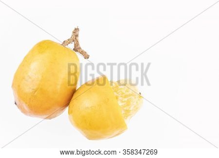 Spondias Purpurea - Plum, Jobo, Xocote, Plum Of Huesito, Jocote, Cocota