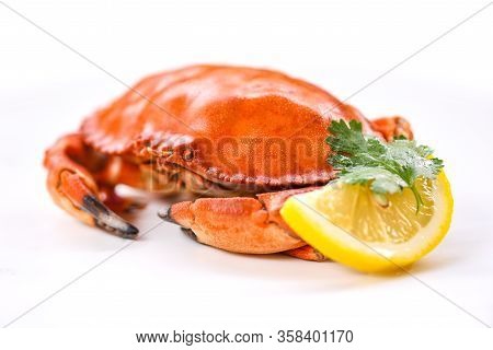 Crab Isolated On White Background Fresh Seafood Stone Crab With Coriander And Lemon