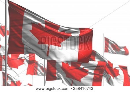 Cute Holiday Flag 3d Illustration
 - Many Canada Flags Are Wave Isolated On White - Illustration Wit