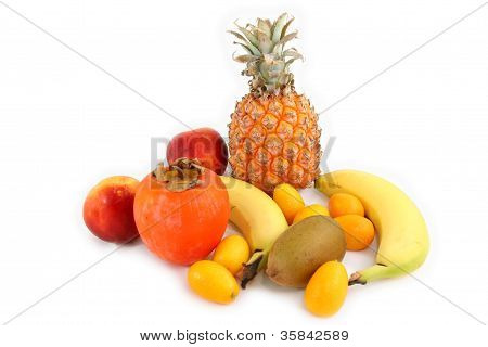 Tropical Fruits