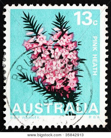 Postimerkki Australia 1968 vaaleanpunainen Heath, Victoria, valtion kukka