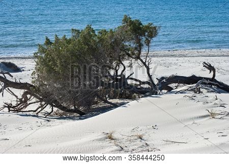 View Of The White Dunes Of Arenas Beach, Teulada