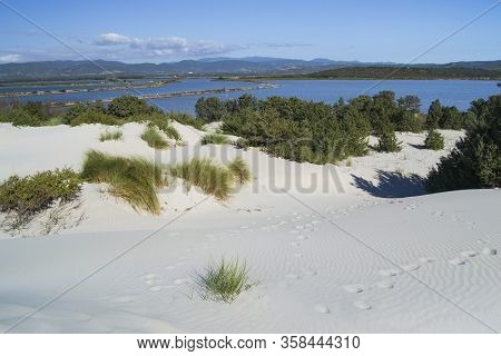 View Of The White Dunes Of Arenas Beach, Teulada