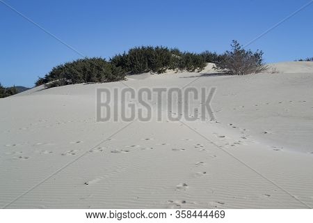 View Of The White Dunes Of Arenas Beach, Teulada
