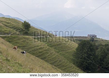 Trekking In Trentino Near Polsa, Rovereto, Baldo Mountain