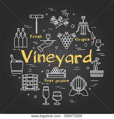 Vector Black Concept With Icons Showing Wine Making Process And Text Vineyard