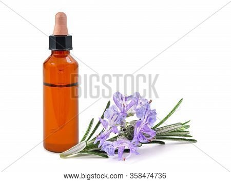 Rosemary Sprig In Flowers Isolated On White Background