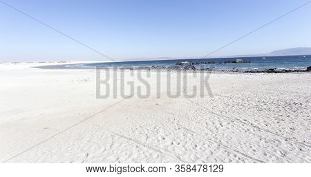 The National Reserve Pan De Azucar In Chile