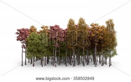 Green Trees Isolated On White Background Forest And Foliage In Autumn 3d Render On White