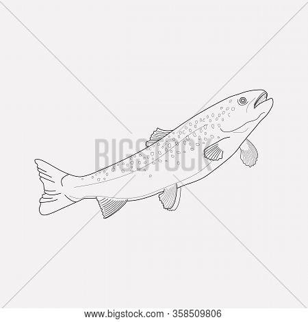 Trout Fish Icon Line Element. Vector Illustration Of Trout Fish Icon Line Isolated On Clean Backgrou