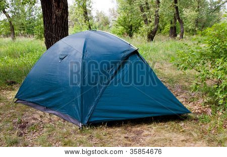 telt i tourist camp i grønne skov