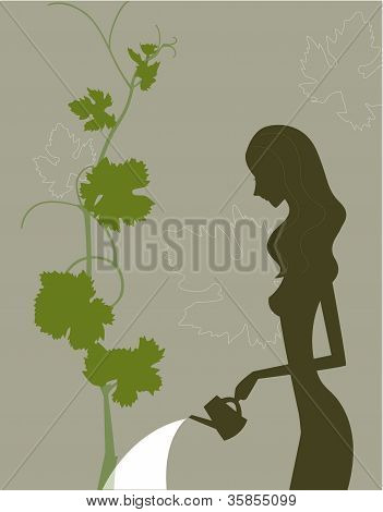 一个女人给植物浇水的剪影配置文件